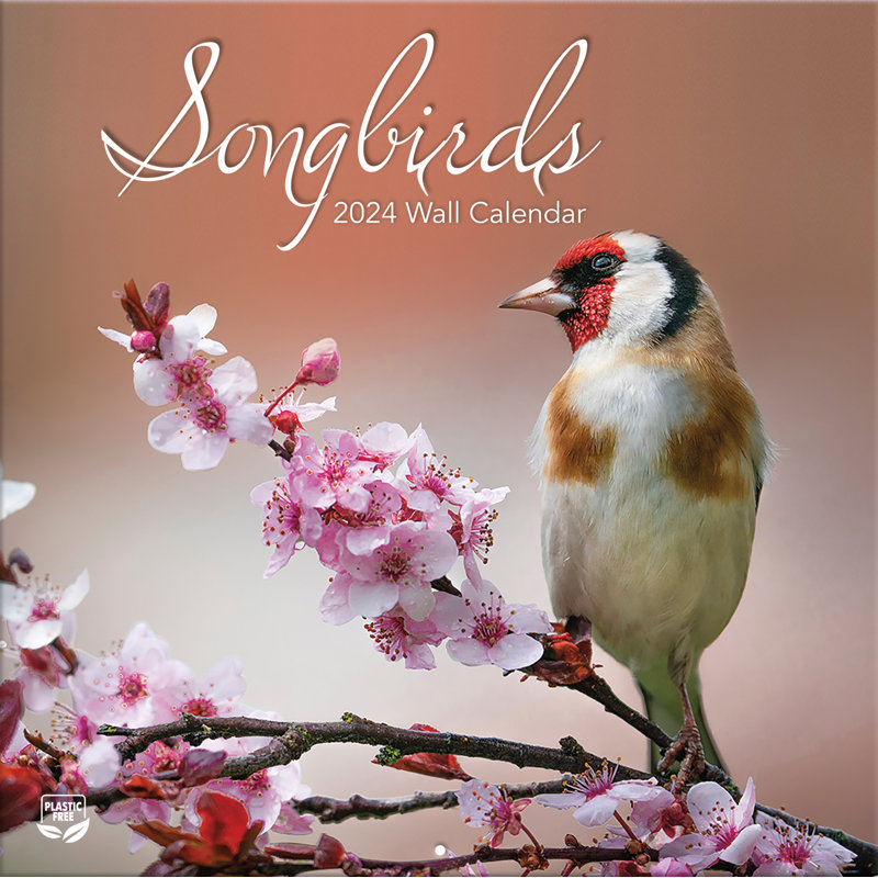 Lang Songbirds Photo Wall Calendar Wayfair